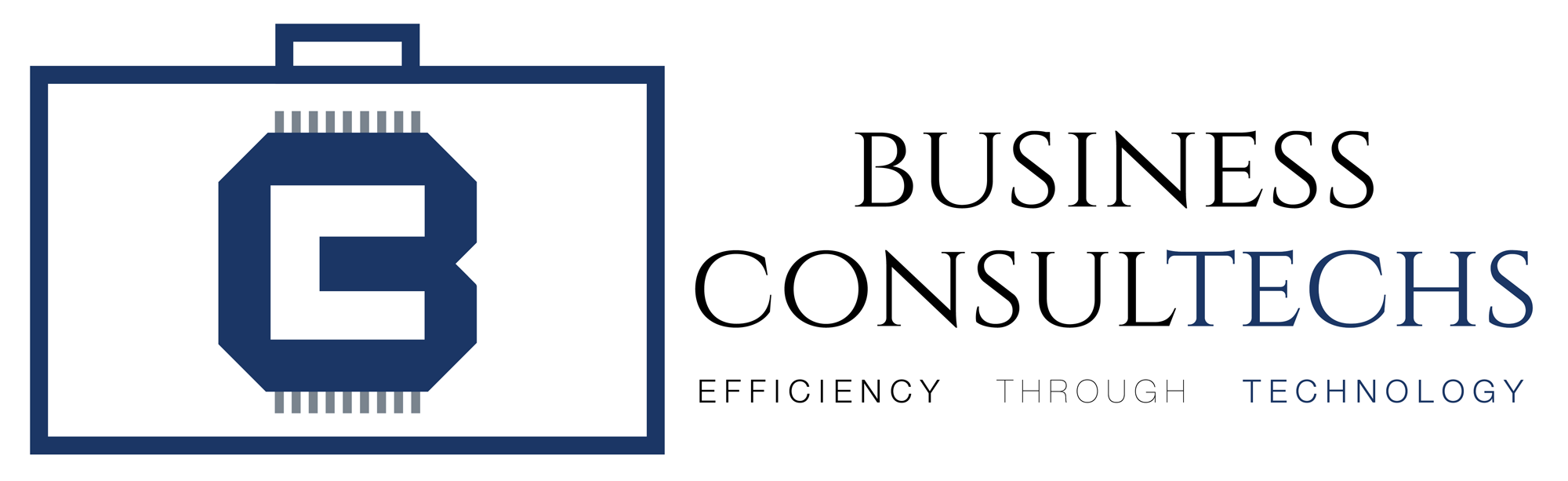 Business ConsulTechs